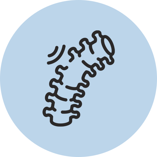 Lumbar Spondylosis Treatment Icon